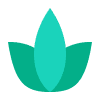 Wellness Practitioner