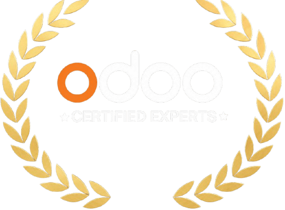Odoo 100+ Implementation